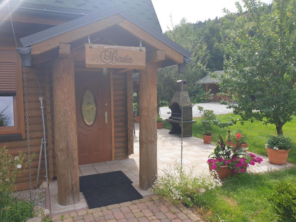 Sobieszow Apartament Basia Zielone Wzgorze -Willa Tosia Exterior foto